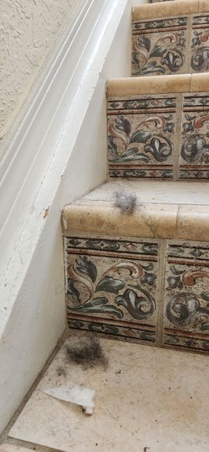 Cleaning Services in Hollywood, FL (1)