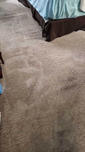 Before & After Carpet Cleaning in Miami, FL (4)