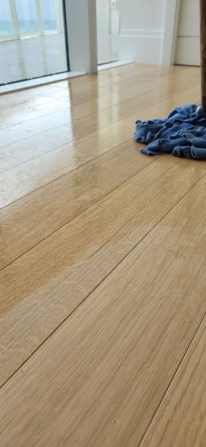 Housekeeping in Pembrook Pines, FL (4)